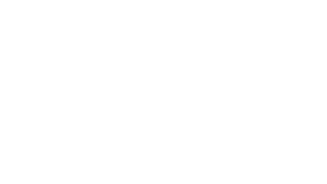 logo terra reiki